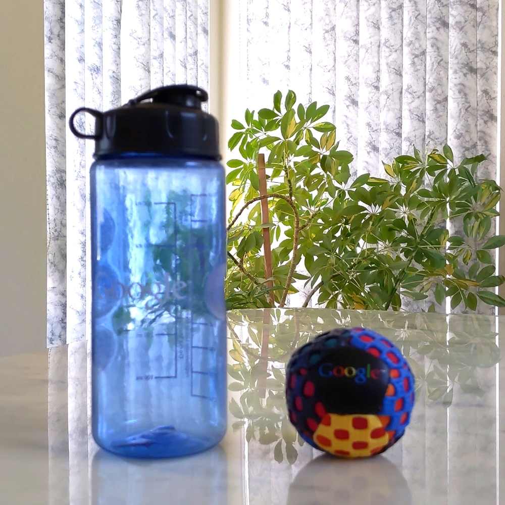 Google Branded Water Bottle 18 oz. and Gripping Mesh Juggling Ball.